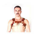 Prowler Red Butch Harness Brn/brs Md