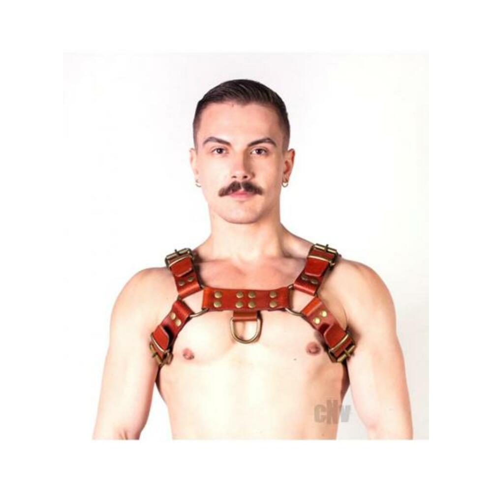 Prowler Red Butch Harness Brn/brs Md