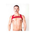 Prowler Red Sports Harness Red Os