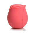 Gossip Rose Crave Pink