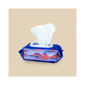 Dame Body Wipes 25 ct