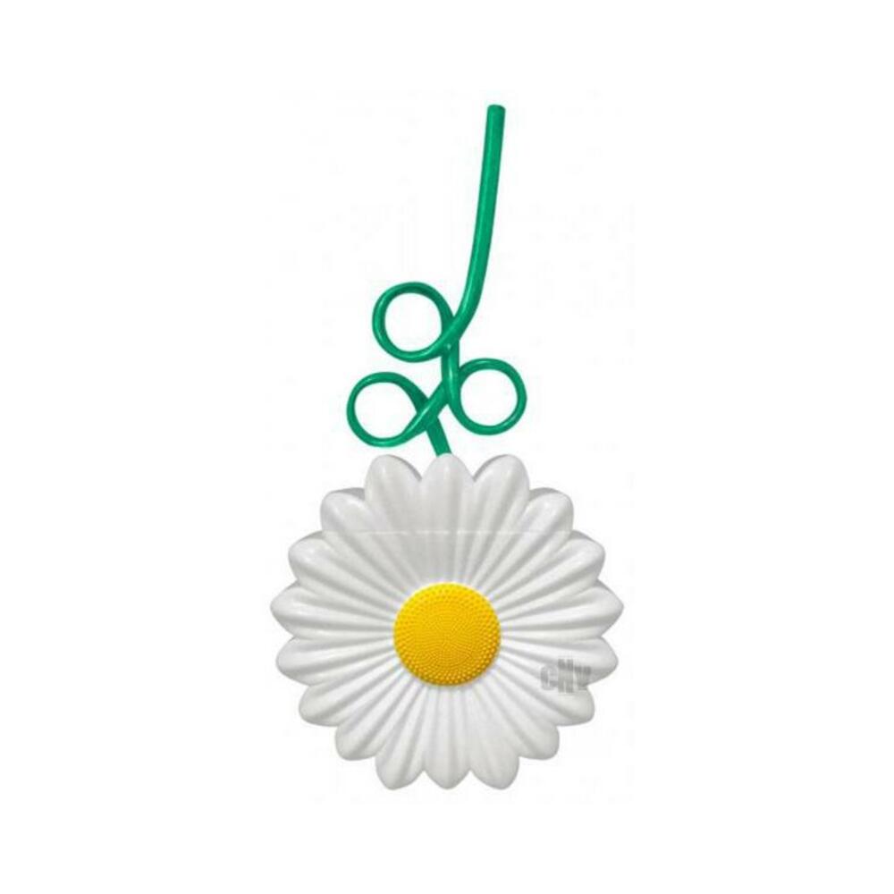 Daisy Cup