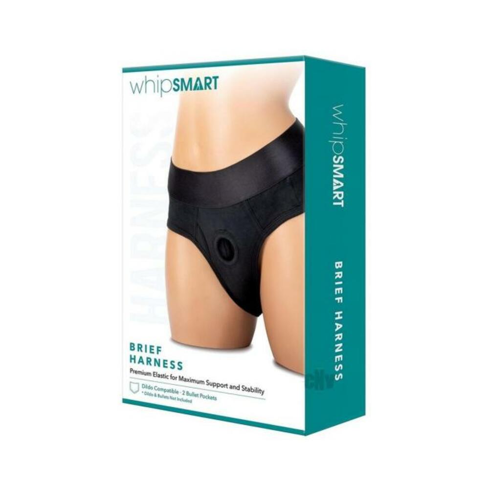 Whipsmart Brief Harness Xl
