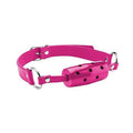 Ouch Cylinder Gag Pink