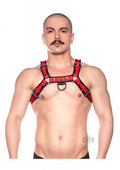 Prowler Red Bull Harness Red Md