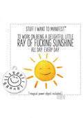 Ray Of Fucking Sunshine