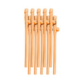 Bachelorette Party Favors Dicky Sipping Straws