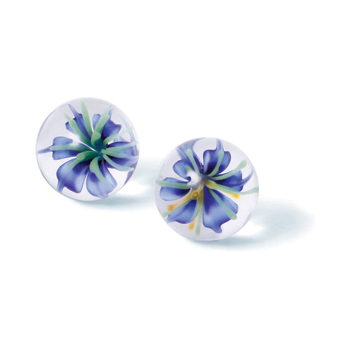 Adam & Eve Glass Ben Wa Balls Clear