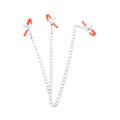 Triple Your Pleasure  Nipple & Clitoral Clamps & Chain