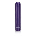 Tiny Teasers Bullet Vibrator Purple