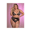 Ms Sheer Mesh Bra Garter & Panty Blk 1 Size Queen