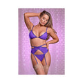 Ms Sheer Mesh Bra Garter & Panty Purple L/xl