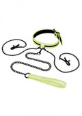 Whipsmart Gitd Collar Nipple Clip Leash